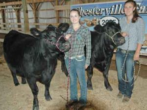 Youth Beef Show