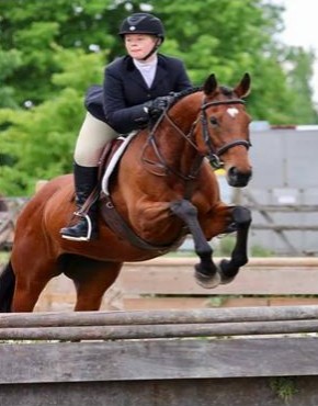 Hunter Horse Show