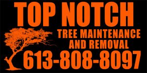 Top Notch Tree Maintenance and Removal